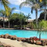 Van Brusselen’s Tropical Oasis