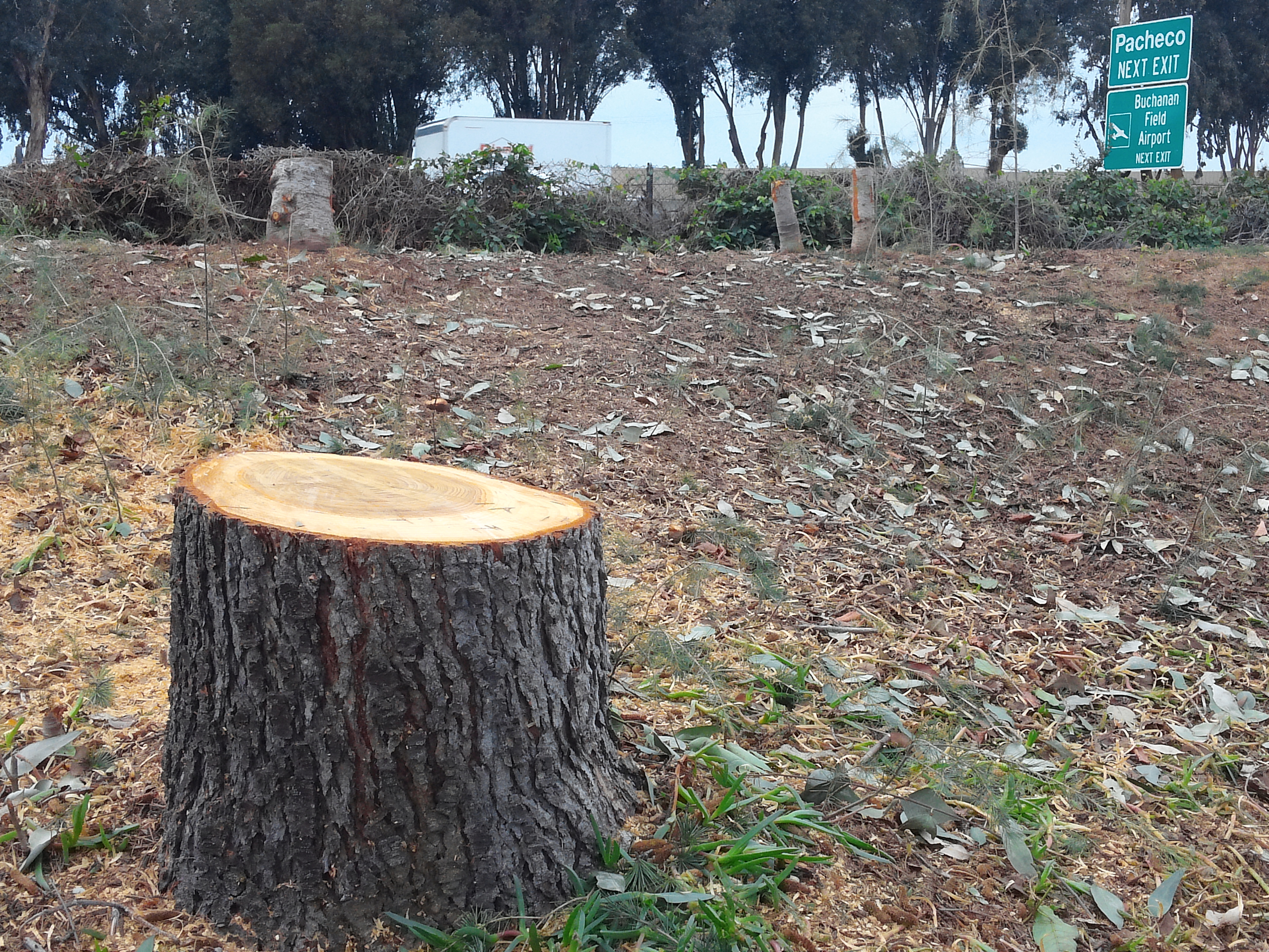 Photos Dozens Of Trees Cut Down To Make Room For New Ping Wpid 20160128 122601 Jpg About 70 Trees Have Been Cut Down